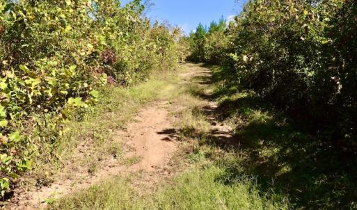 Photo #40 of SOLD property in Off Shared Lane, Bedford, VA 79.0 acres