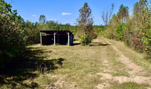 Photo #41 of SOLD property in Off Shared Lane, Bedford, VA 79.0 acres