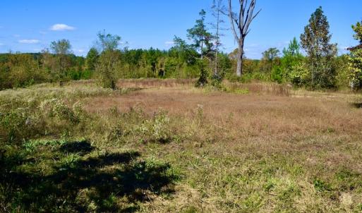 Photo #42 of SOLD property in Off Shared Lane, Bedford, VA 79.0 acres