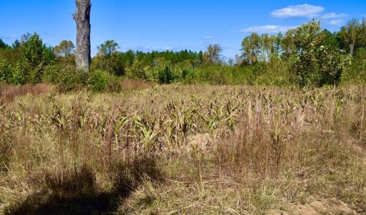 Photo #43 of SOLD property in Off Shared Lane, Bedford, VA 79.0 acres