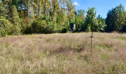 Photo #44 of SOLD property in Off Shared Lane, Bedford, VA 79.0 acres