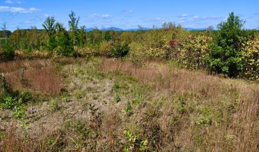 Photo #45 of SOLD property in Off Shared Lane, Bedford, VA 79.0 acres