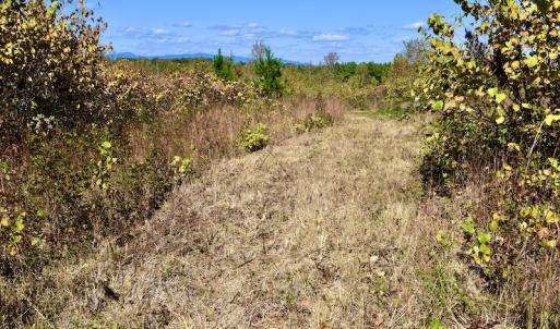 Photo #46 of SOLD property in Off Shared Lane, Bedford, VA 79.0 acres