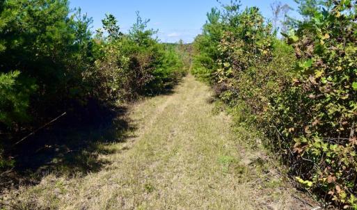 Photo #47 of SOLD property in Off Shared Lane, Bedford, VA 79.0 acres