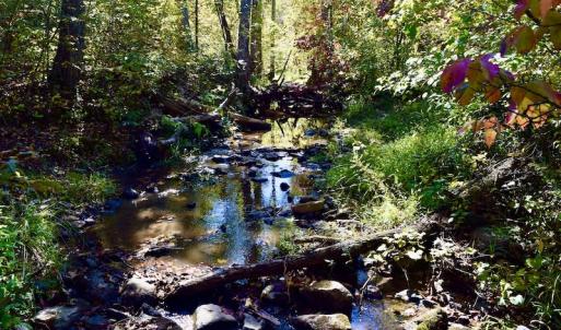 Photo #48 of SOLD property in Off Shared Lane, Bedford, VA 79.0 acres