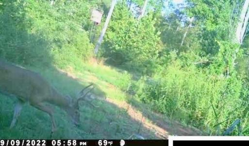 Photo #51 of SOLD property in Off Shared Lane, Bedford, VA 79.0 acres