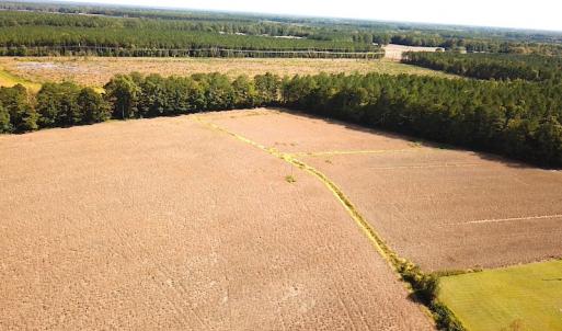 Photo #25 of SOLD property in 4372 Deer Forest Road, Suffolk, VA 68.0 acres