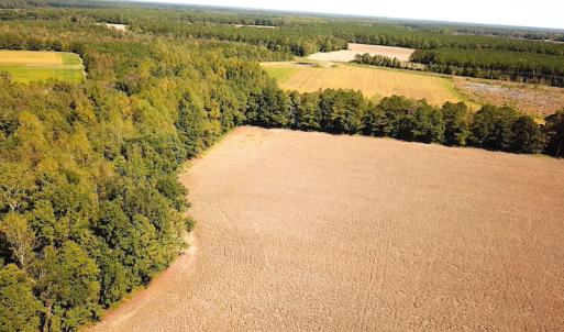 Photo #26 of SOLD property in 4372 Deer Forest Road, Suffolk, VA 68.0 acres