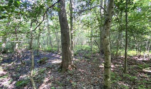 Photo #36 of SOLD property in 4372 Deer Forest Road, Suffolk, VA 68.0 acres