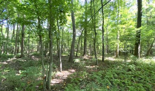 Photo #41 of SOLD property in 4372 Deer Forest Road, Suffolk, VA 68.0 acres