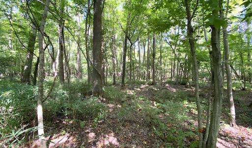 Photo #42 of SOLD property in 4372 Deer Forest Road, Suffolk, VA 68.0 acres