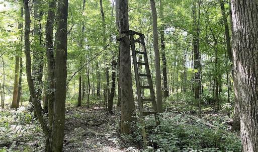 Photo #43 of SOLD property in 4372 Deer Forest Road, Suffolk, VA 68.0 acres