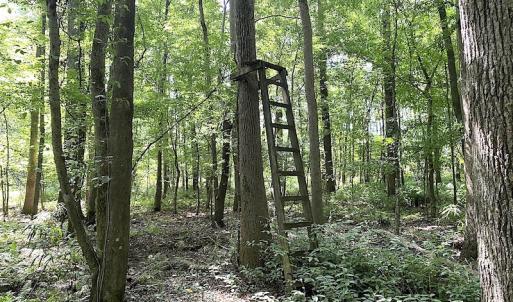 Photo #43 of SOLD property in 4372 Deer Forest Road, Suffolk, VA 68.0 acres