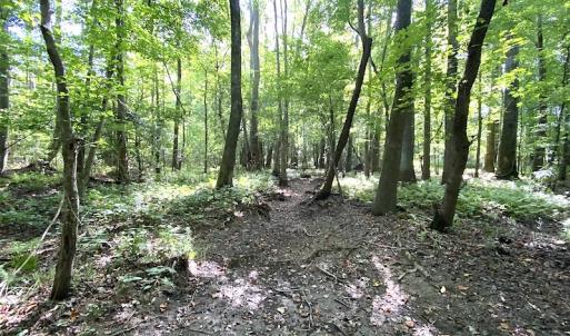 Photo #45 of SOLD property in 4372 Deer Forest Road, Suffolk, VA 68.0 acres