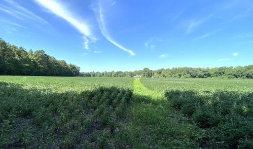 Photo #49 of SOLD property in 4372 Deer Forest Road, Suffolk, VA 68.0 acres