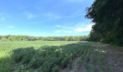 Photo #50 of SOLD property in 4372 Deer Forest Road, Suffolk, VA 68.0 acres