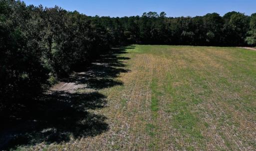 Photo #24 of SOLD property in Off Levi Drive, Ayden, NC 7.0 acres