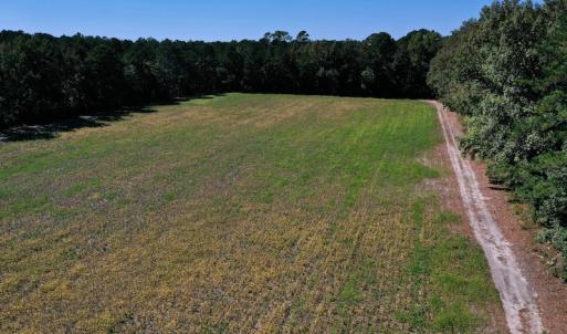 Photo #26 of SOLD property in Off Levi Drive, Ayden, NC 7.0 acres