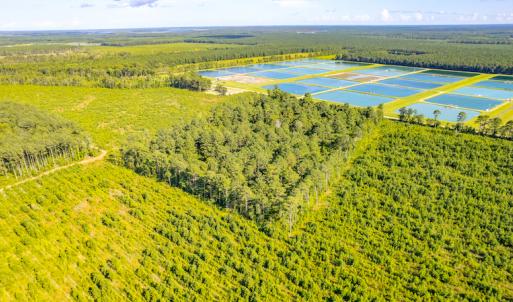 Photo #9 of SOLD property in Off Spring Creek Road, Aurora, NC 15.1 acres