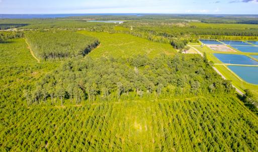 Photo #10 of SOLD property in Off Spring Creek Road, Aurora, NC 15.1 acres