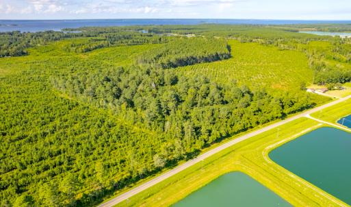 Photo #11 of SOLD property in Off Spring Creek Road, Aurora, NC 15.1 acres