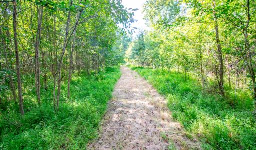 Photo #15 of SOLD property in Off Spring Creek Road, Aurora, NC 15.1 acres