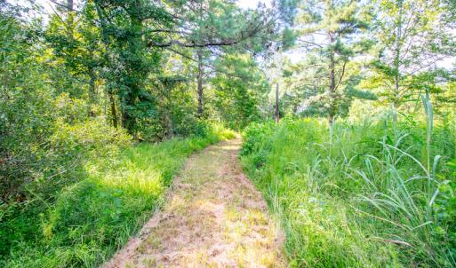 Photo #16 of SOLD property in Off Spring Creek Road, Aurora, NC 15.1 acres