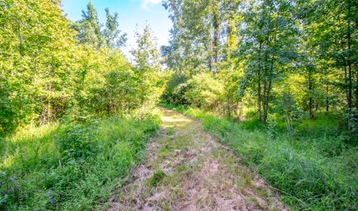 Photo #17 of SOLD property in Off Spring Creek Road, Aurora, NC 15.1 acres