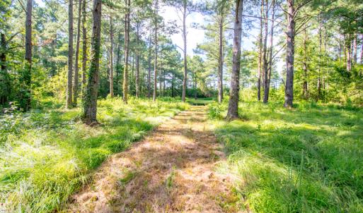Photo #18 of SOLD property in Off Spring Creek Road, Aurora, NC 15.1 acres