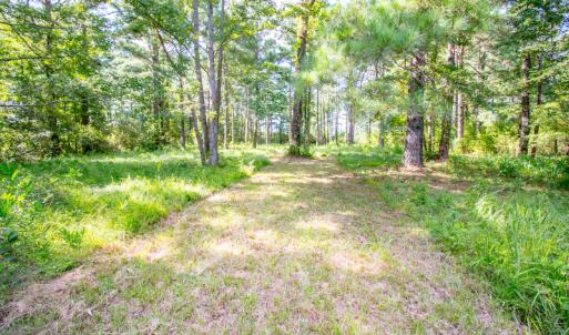 Photo #19 of SOLD property in Off Spring Creek Road, Aurora, NC 15.1 acres