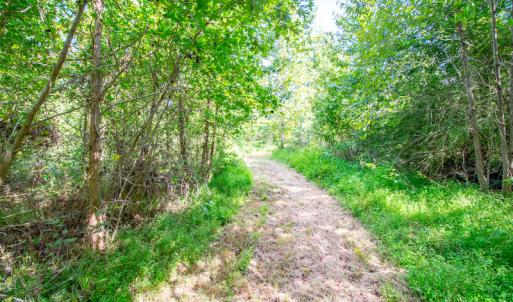 Photo #20 of SOLD property in Off Spring Creek Road, Aurora, NC 15.1 acres
