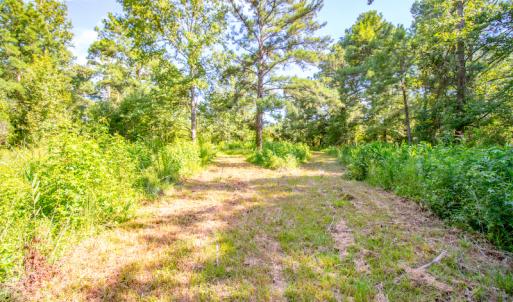 Photo #22 of SOLD property in Off Spring Creek Road, Aurora, NC 15.1 acres