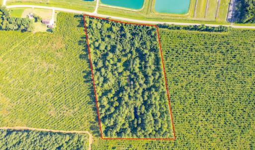 Photo #3 of SOLD property in Off Spring Creek Road, Aurora, NC 15.1 acres