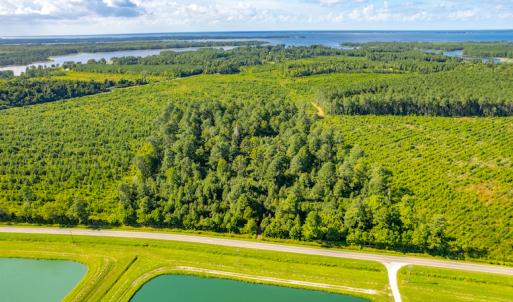 Photo #4 of SOLD property in Off Spring Creek Road, Aurora, NC 15.1 acres