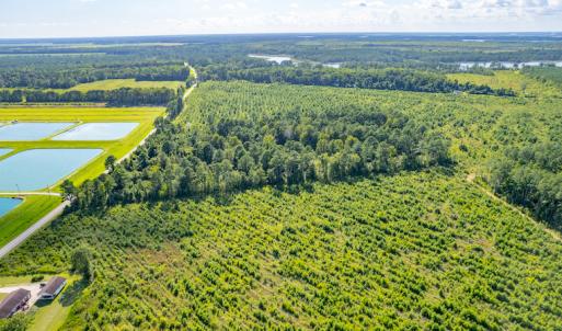 Photo #6 of SOLD property in Off Spring Creek Road, Aurora, NC 15.1 acres
