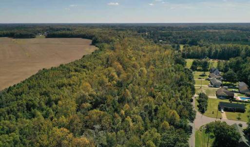 Photo #2 of SOLD property in Off Saint Brides Road West, Chesapeake, VA 16.0 acres