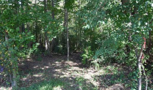 Photo #9 of SOLD property in Off Saint Brides Road West, Chesapeake, VA 16.0 acres