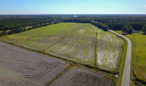 Photo #2 of SOLD property in Off Bryant Farm Road, Tarboro, NC 122.0 acres
