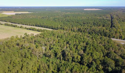Photo #7 of SOLD property in Off Bryant Farm Road, Tarboro, NC 122.0 acres