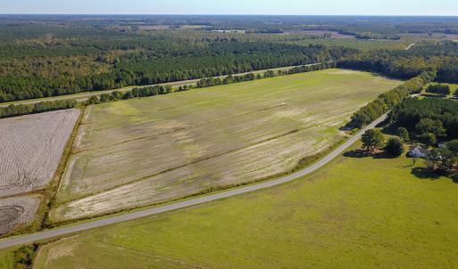 Photo #8 of SOLD property in Off Bryant Farm Road, Tarboro, NC 122.0 acres
