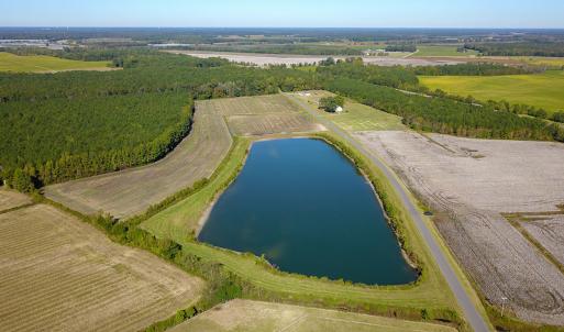 Photo #9 of SOLD property in Off Bryant Farm Road, Tarboro, NC 122.0 acres
