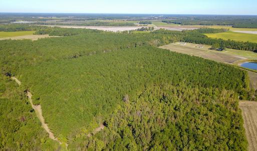 Photo #11 of SOLD property in Off Bryant Farm Road, Tarboro, NC 122.0 acres