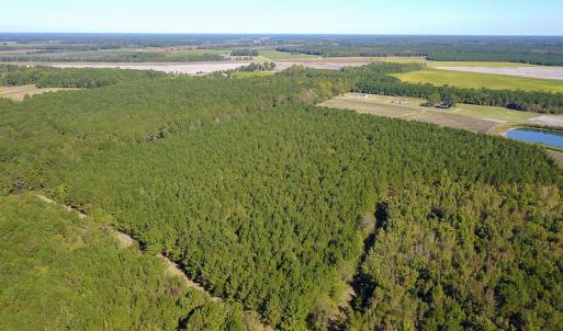 Photo #12 of SOLD property in Off Bryant Farm Road, Tarboro, NC 122.0 acres