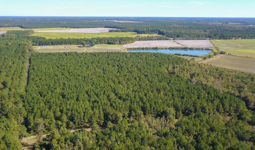 Photo #14 of SOLD property in Off Bryant Farm Road, Tarboro, NC 122.0 acres