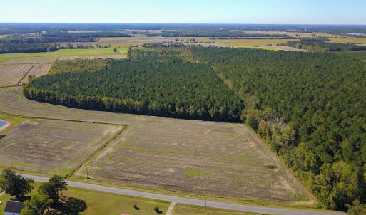 Photo #15 of SOLD property in Off Bryant Farm Road, Tarboro, NC 122.0 acres