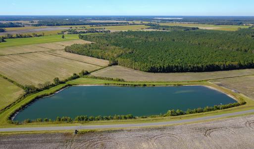 Photo #17 of SOLD property in Off Bryant Farm Road, Tarboro, NC 122.0 acres