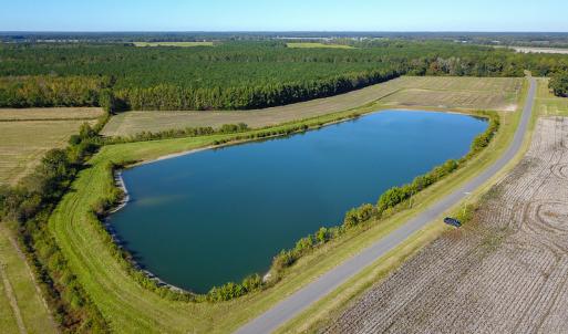 Photo #18 of SOLD property in Off Bryant Farm Road, Tarboro, NC 122.0 acres