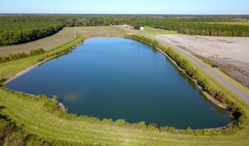 Photo #19 of SOLD property in Off Bryant Farm Road, Tarboro, NC 122.0 acres
