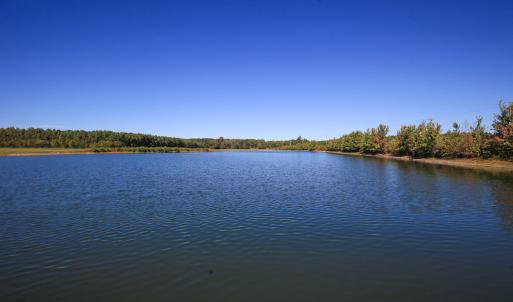 Photo #20 of SOLD property in Off Bryant Farm Road, Tarboro, NC 122.0 acres