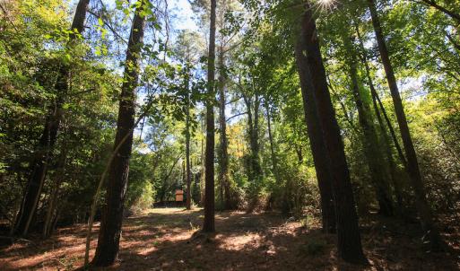 Photo #24 of SOLD property in Off Bryant Farm Road, Tarboro, NC 122.0 acres
